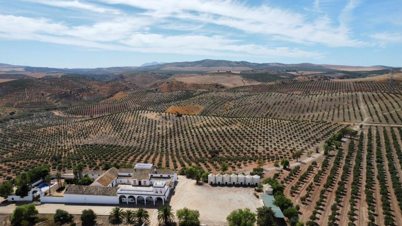 Вілла Cortijo Donana Ла-Пуебла-де-Касалья Екстер'єр фото
