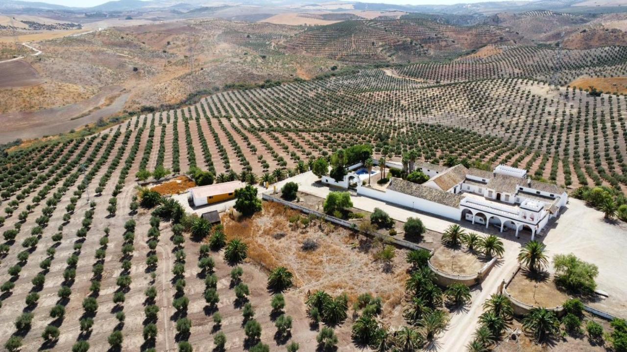 Вілла Cortijo Donana Ла-Пуебла-де-Касалья Екстер'єр фото