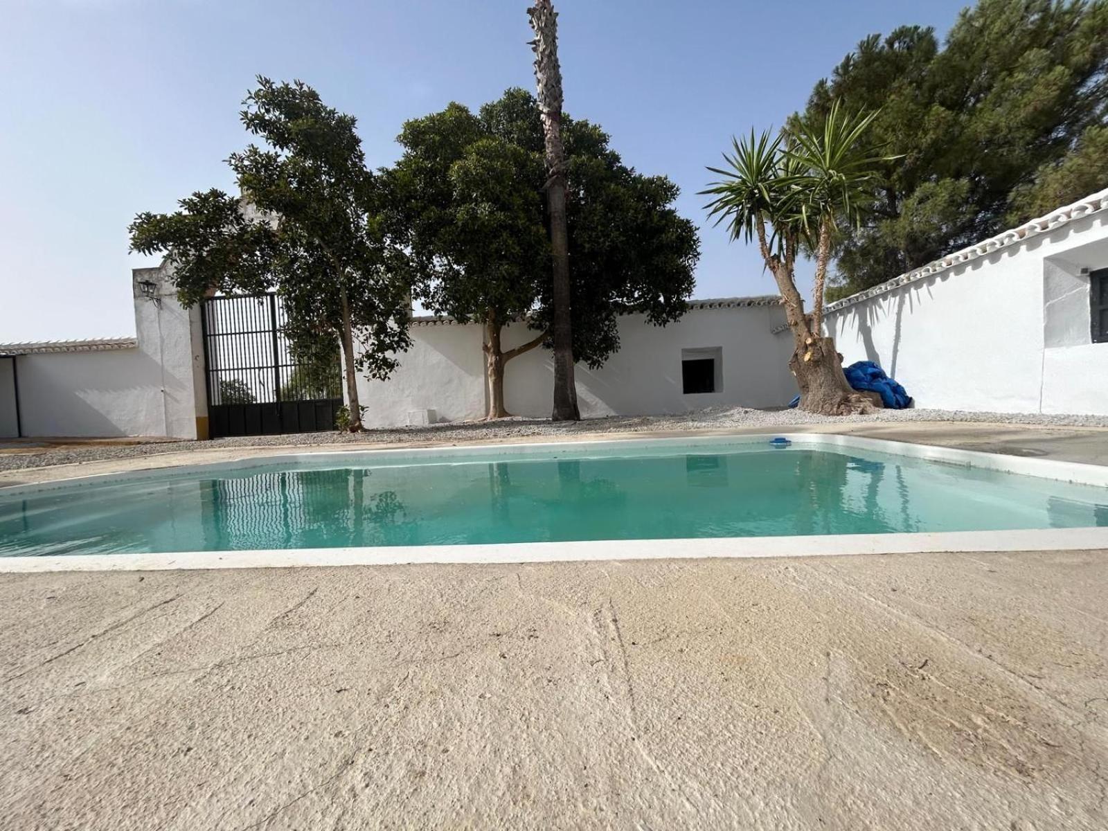 Вілла Cortijo Donana Ла-Пуебла-де-Касалья Екстер'єр фото
